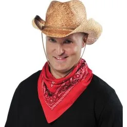 Straw Cowboy Hat -Costumes By Theme Shop 393875 01