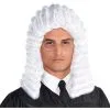 AMSCAN Judge Wig